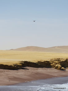 Désert de Paracas - Pérou